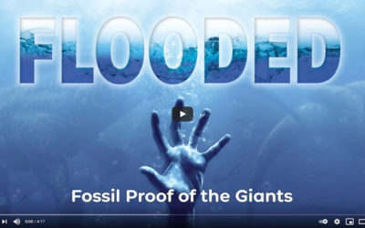 Fossil Proof of the Giants