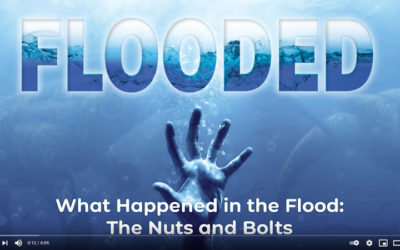 What Happened in the Flood: The Nuts and Bolts