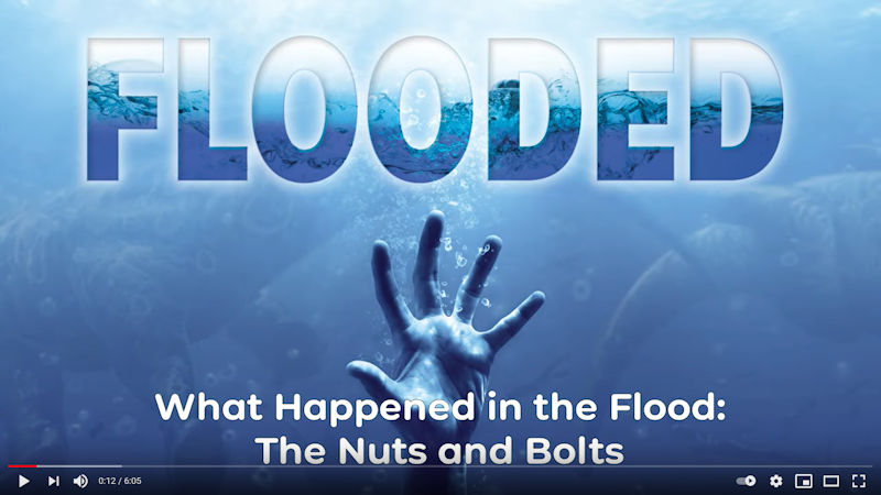 What Happened in the Flood: The Nuts and Bolts