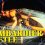 Wonders of Creation: Bombardier Beetle