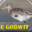 Wonders of Creation: The Godwit