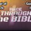 Race Through the Bible, the Gospel of Mark & the Gospel of John