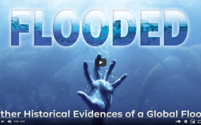 Other Historical Evidences of a Global Flood