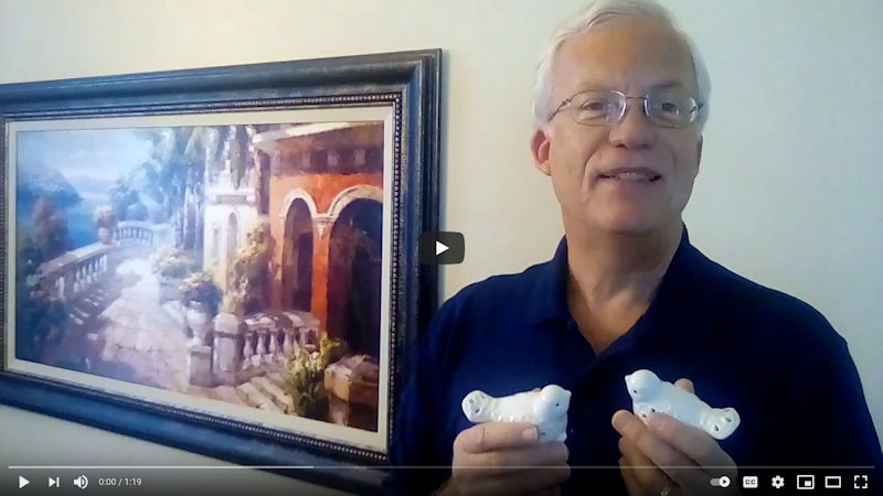 Faith Lessons from Birds