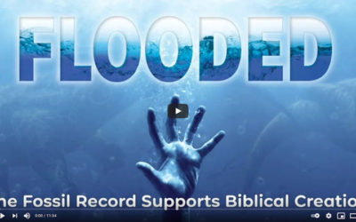 The Fossil Record Supports Biblical Creation