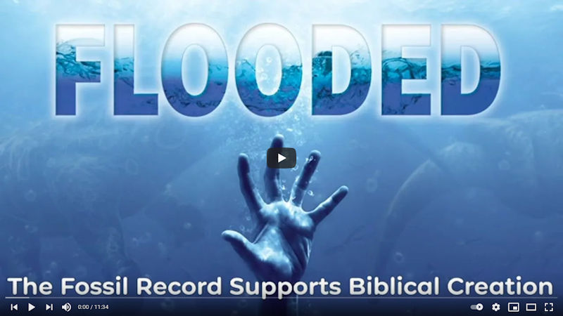 The Fossil Record Supports Biblical Creation