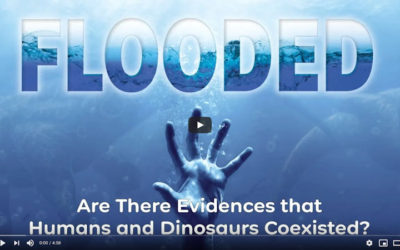 Are There Evidences that Humans and Dinosaurs Coexisted?