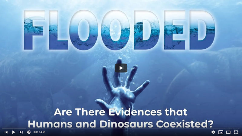 Are There Evidences that Humans and Dinosaurs Coexisted?
