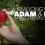 How Long Were Adam and Eve in the Garden of Eden?