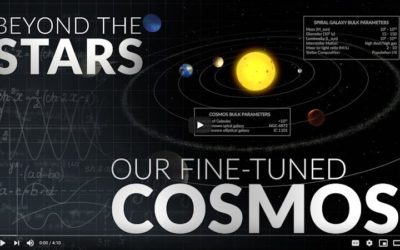 Beyond the Stars: Our Fine-Tuned Cosmos