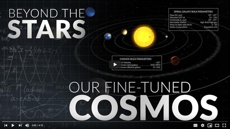 Beyond the Stars: Our Fine-Tuned Cosmos