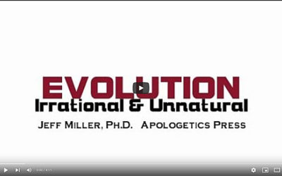 Evolution: Irrational and Unnatural