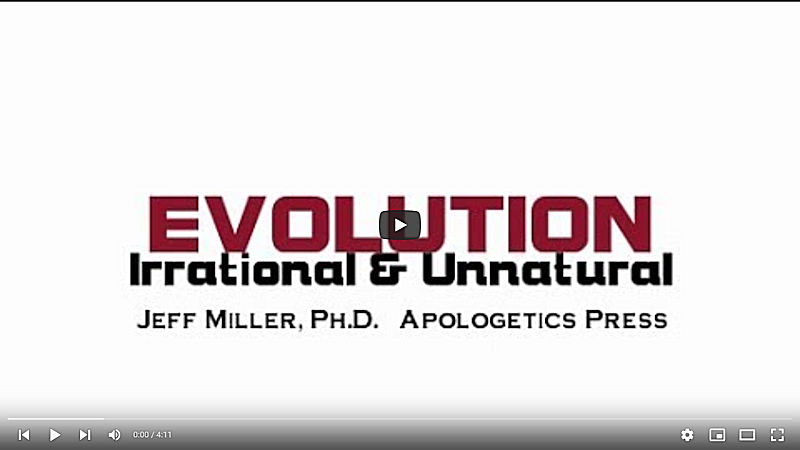 Evolution: Irrational and Unnatural