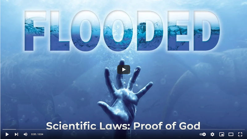 Scientific Laws: Proof of God