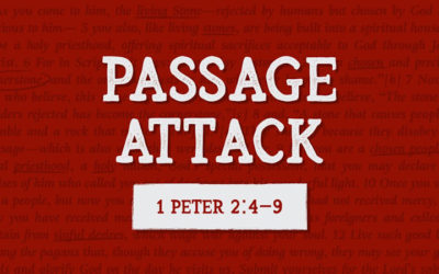 How to Analyze & Understand 1 Peter 2:4-9