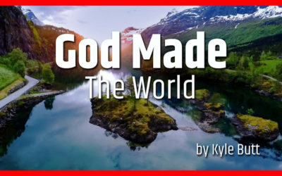 God Made the World