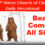 Bears Come In All Sizes