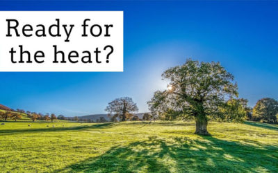 Ready for the heat?