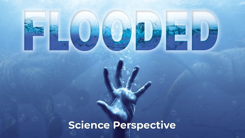 Science Perspective of the Flood
