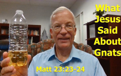 What Jesus Said About Gnats