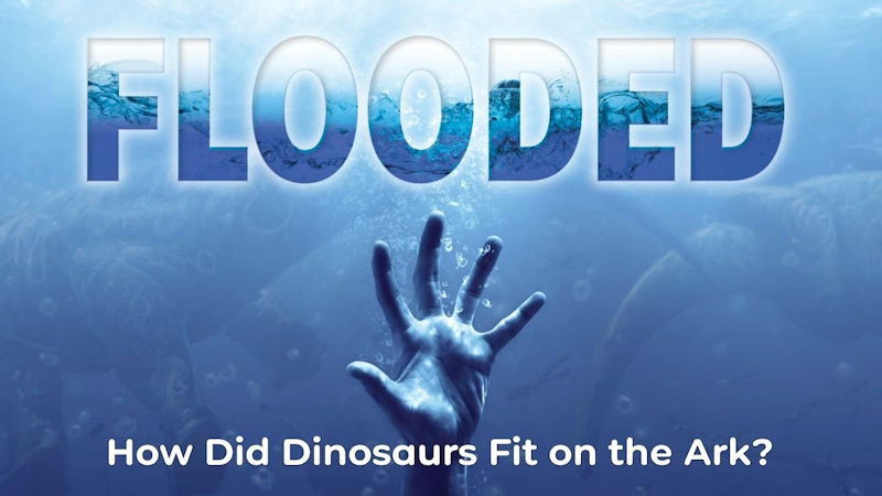 How Did Dinosaurs Fit on the Ark?