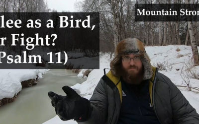 Psalm 11 – Flee as a Bird, or Fight?