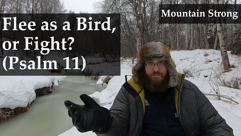 Psalm 11 – Flee as a Bird, or Fight?