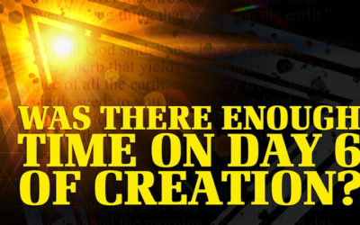 Was There Enough Time on Day 6 of Creation?