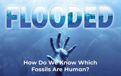 How Do We Know Which Fossils Are Human?