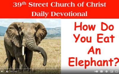 How Do You Eat An Elephant