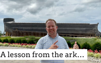 A lesson from the ark…