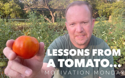 Lessons from a tomato…