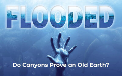 Do Canyons Prove an Old Earth