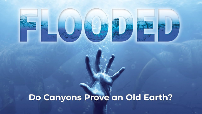 Do Canyons Prove an Old Earth