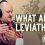 What About The LEVIATHAN?