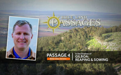 In the Shadow of Gilboa: Reaping & Sowing