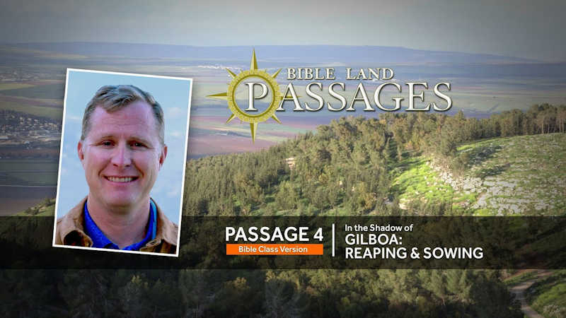 In the Shadow of Gilboa: Reaping & Sowing