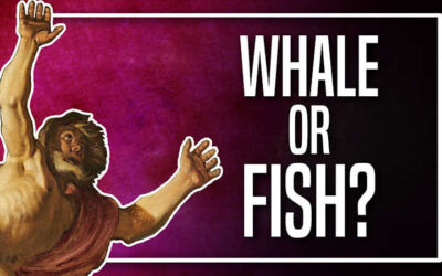 Was Jonah Swallowed by a Fish or a Whale?