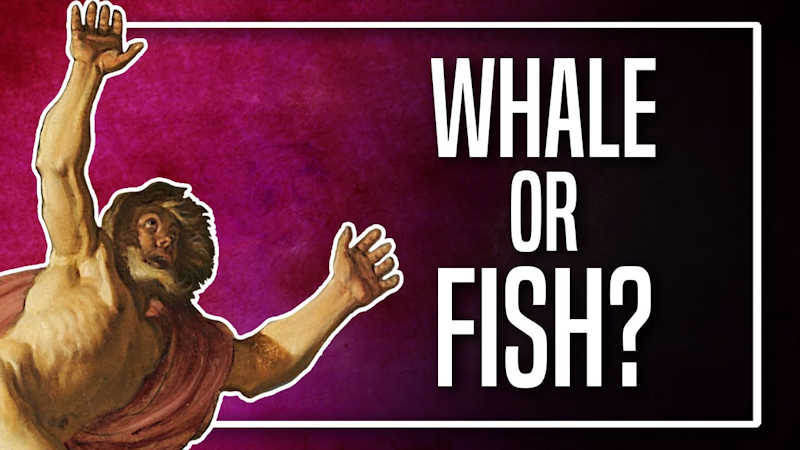 Was Jonah Swallowed by a Fish or a Whale?