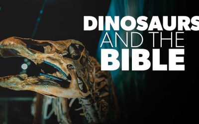 Dinosaurs and the Bible
