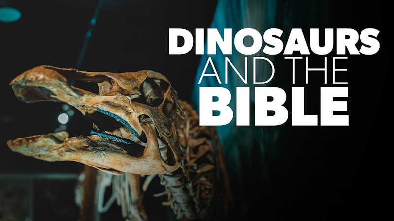 Dinosaurs and the Bible