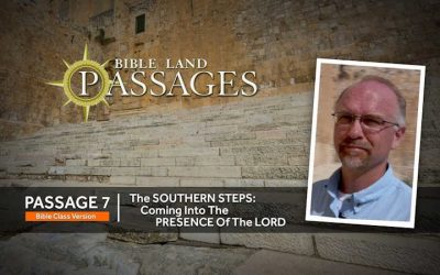 The Southern Steps: Coming into the Presence of the Lord