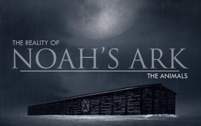 The Animals | The Reality of Noah’s Ark