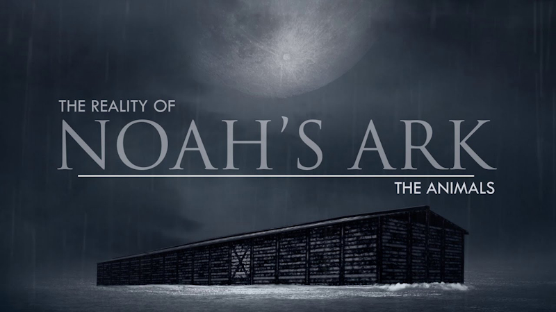 The Animals | The Reality of Noah’s Ark