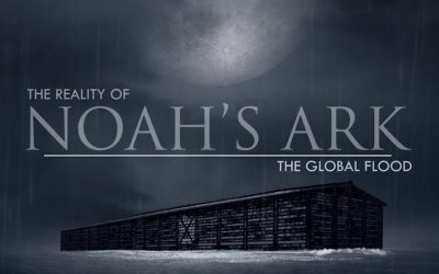The Global Flood | The Reality of Noah’s Ark