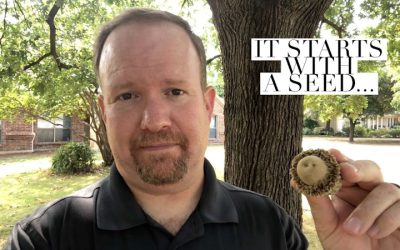 It starts with a seed…