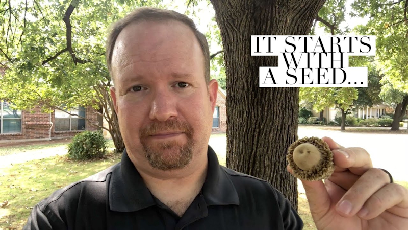 It starts with a seed…