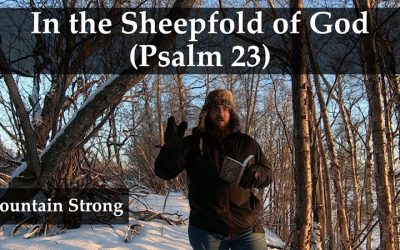Psalm 23 – In the Sheepfold of God