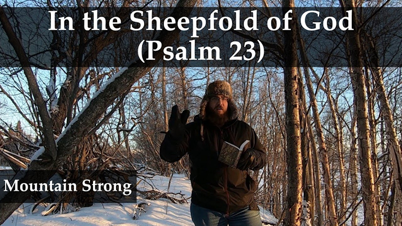 Psalm 23 – In the Sheepfold of God
