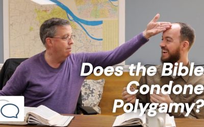 Does the Bible Condone Polygamy?
